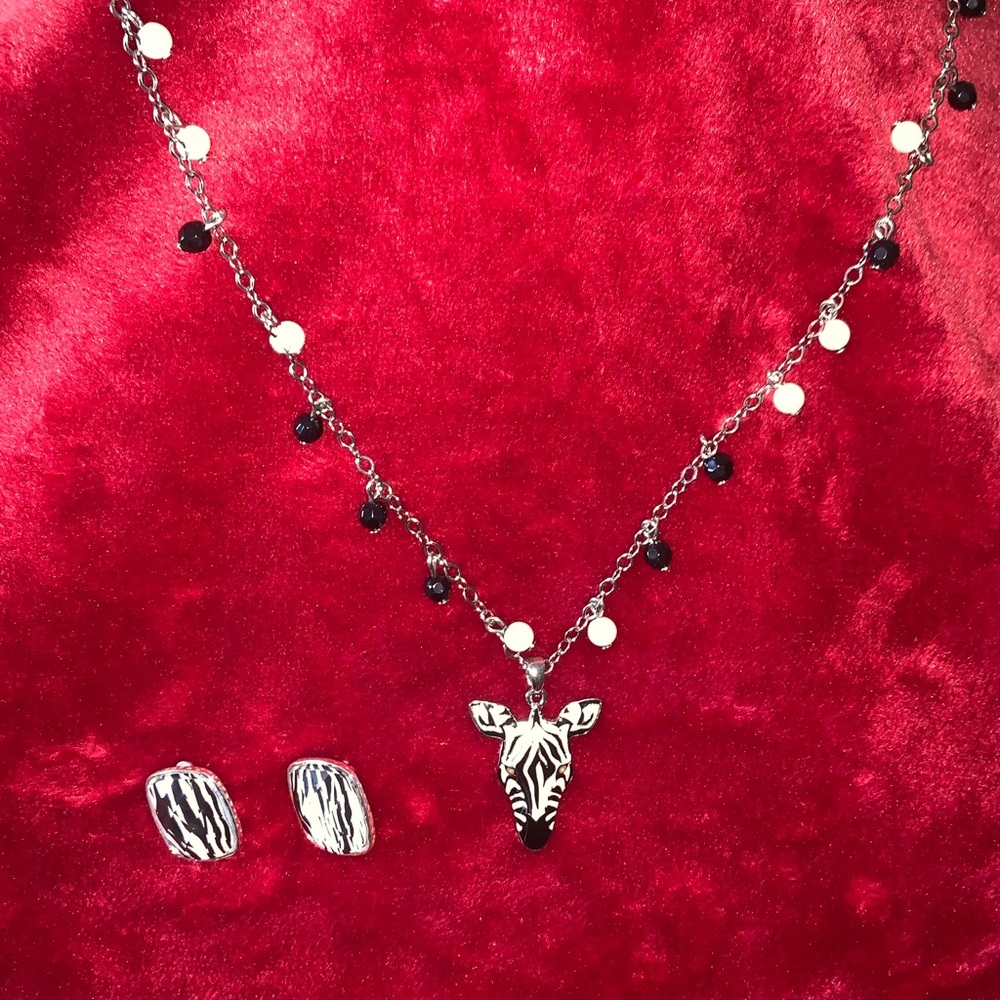 🦓 Matching Zebra Jewelry Set 🦓